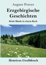 Erzgebirgische Geschichten (Großdruck)