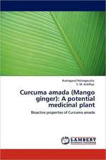 Curcuma amada (Mango ginger): A potential medicinal plant