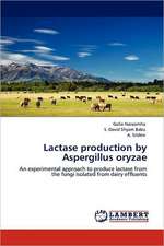 Lactase production by Aspergillus oryzae