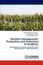 Nutrient management; Production and Protection of Sorghum