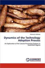 Dynamics of the Technology Adoption Process