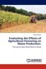 Evaluating the Effects of Agricultural Financing on Maize Production