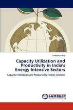 Capacity Utilization and Productivity in India's Energy Intensive Sectors