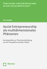 Social Entrepreneurship als multidimensionales Phänomen