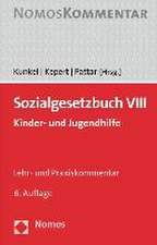 Sozialgesetzbuch VIII