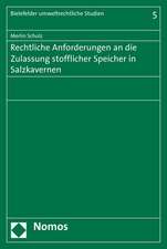 Rechtliche Anforderungen an Die Zulassung Stofflicher Speicher in Salzkavernen: Gesellschaftsrechtliche Binnenstruktur Unter Organisatorischem Einfluss Des Ordnungswidrigkeiten- Und Delikts