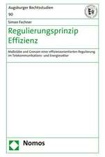 Regulierungsprinzip Effizienz