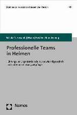 Professionelle Teams in Heimen