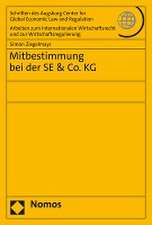 Mitbestimmung bei der SE & Co. KG