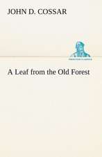 A Leaf from the Old Forest