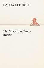 The Story of a Candy Rabbit