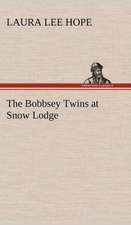 The Bobbsey Twins at Snow Lodge