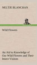 Wild Flowers an Aid to Knowledge of Our Wild Flowers and Their Insect Visitors: Years of Travel as a Virtuoso