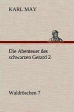 Die Abenteuer Des Schwarzen Gerard 2: Gesamtwerk