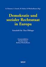 Demokratie und sozialer Rechtsstaat in Europa