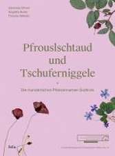 Pfrouslschtaud und Tschuferniggele