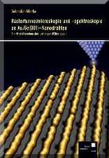 Rastertunnelmikroskopie und -spektroskopie an Au/Ge(001)-Nanodrähten