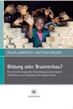 Bildung oder Brunnenbau?: Eine kritische Analyse der Entwicklungszusammenarbeit mit Afrika aus der Perspektive der Sozialen Arbeit