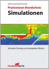 Praxiswissen Brandschutz - Simulationen