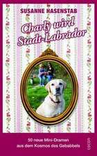 Charly wird Stadtlabrador