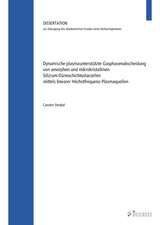 Dynamische plasmaunterstützte Gasphasenabscheidung von amorphen und mikrokristallinen Silizium-Dünnschichtsolarzellen mittels linearer Höchstfrequenz-Plasmaquellen