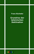 Grundriss der lateinischen Deklination