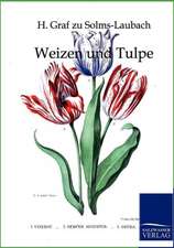 Weizen und Tulpe