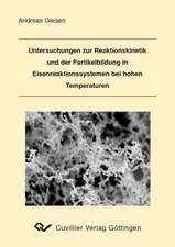 Untersuchungen zur Reaktionskinetik und der Partikelbildung in Eisenreaktionssystemen bei hohen Temperaturen