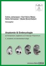 Anatomie & Embryologie