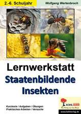 Lernwerkstatt - Staatenbildende Insekten