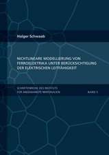 Nichtlineare Modellierung von Ferroelektrika unter Berücksichtigung der elektrischen Leitfähigkeit