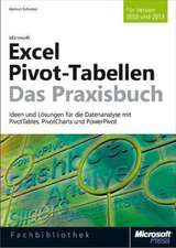 Microsoft Excel 2013 Pivot-Tabellen - Das Praxisbuch