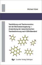 Teerbildung und Teerkonversion bei der Biomassevergasung - Anwendung der nasschemischen Teerbestimmung nach CEN-Standard