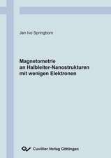 Magnetometrie an Halbleiter-Nanostrukturen mit wenigen Elektronen