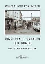 Eine Stadt erzählt die Wende