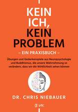 Kein Ich, kein Problem - Ein Praxisbuch