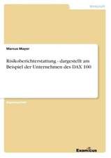 Risikoberichterstattung - dargestellt am Beispiel der Unternehmen des DAX 100