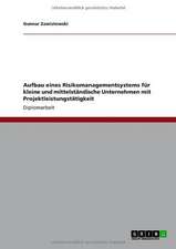 Aufbau eines Risikomanagementsystems für kleine und mittelständische Unternehmen mit Projektleistungstätigkeit