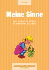 Meine Sinne