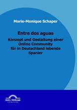 Entre DOS Aguas - Konzept Und Gestaltung Einer Online Community Fur in Deutschland Lebende Spanier: Die Marktbeherrschenden Energiekonzerne Auf Dem Deutschen Elektrizit Tsmarkt