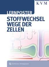 Lernposter Stoffwechselwege der Zellen