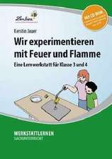 Wir experimentieren mit Feuer und Flamme