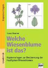 Welche Wiesenblume ist das? Sachunterricht - Grundschule