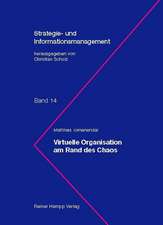 Virtuelle Organisation am Rand des Chaos