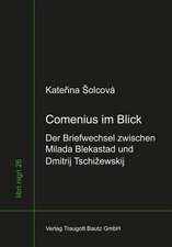 Comenius im Blick