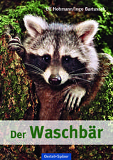 Der Waschbär