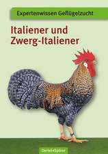 Italiener und Zwerg-Italiener