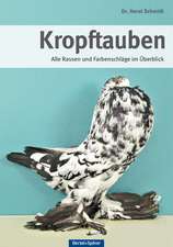 Kropftauben