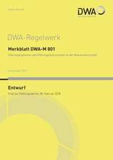 DWA-M 801 Führungssysteme und Führungsinstrumente in der Wasserwirtschaft (Entwurf)