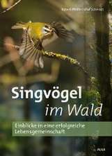 Singvögel im Wald